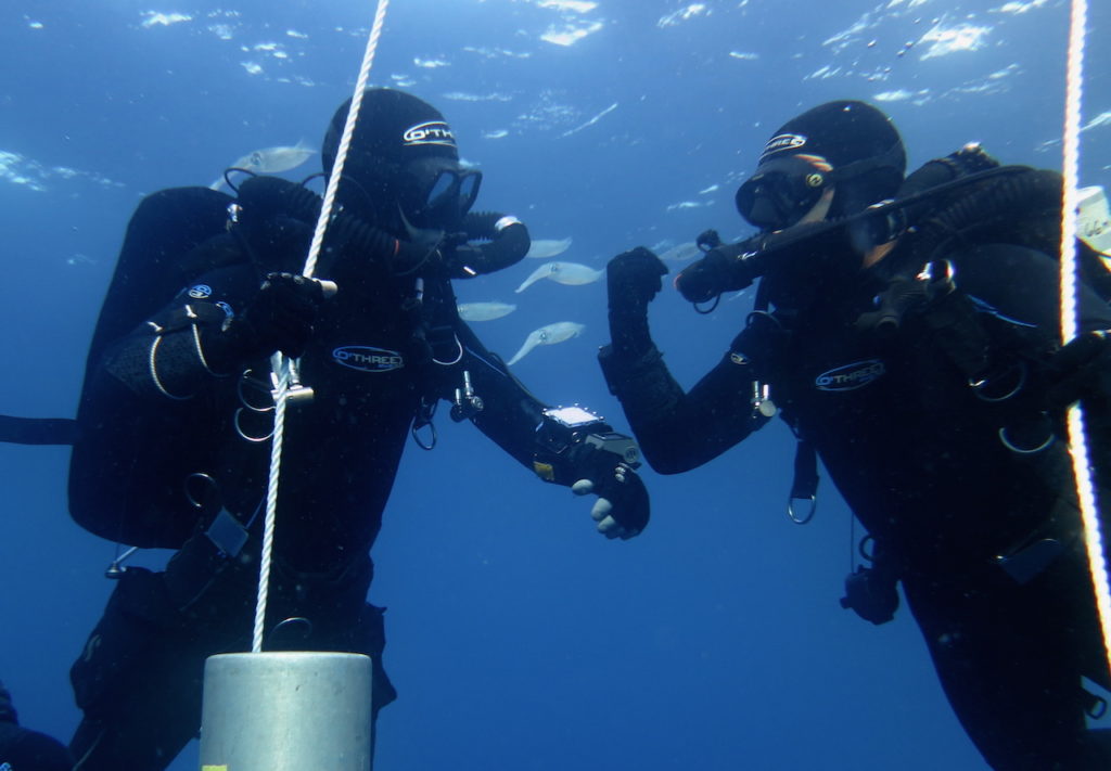 Gearing Up For Teamwork